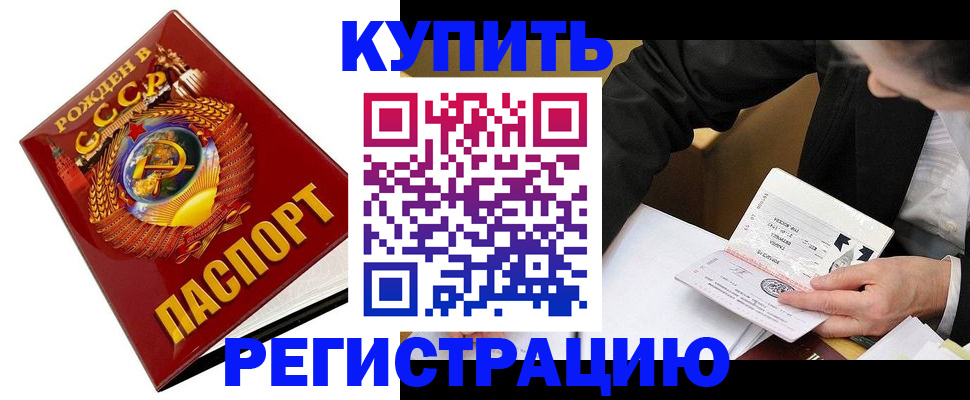 прописка гарантия в Петропавловске-Камчатском